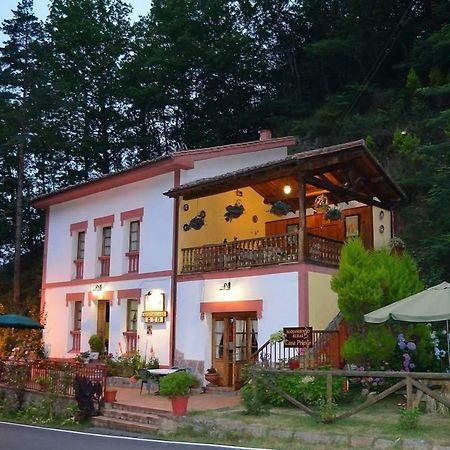 Casa Rural Priena Covadonga Extérieur photo